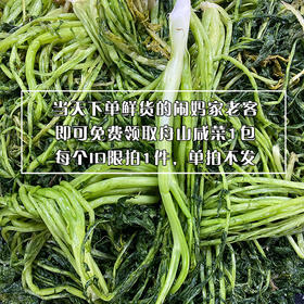 【闹妈赠品】雪菜当天下单鲜货的客户专拍，单拍多拍不发，每个ID限购1件