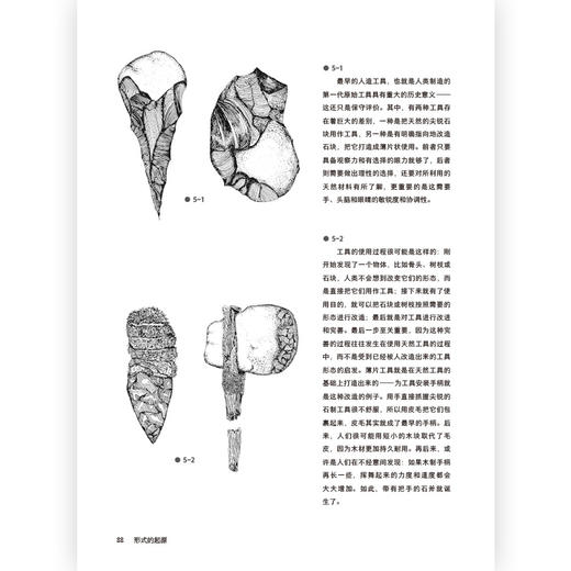 后浪正版 形式的起源 自然造物和人类造物的设计法则一起探究自然物和人造物的形式是什么样和为何这样的设计类书籍 商品图3