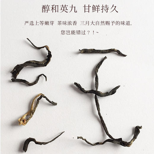 积庆里新茶春茶 红茶礼盒 英红九号 英德红茶 明前茶三月春150克 商品图3