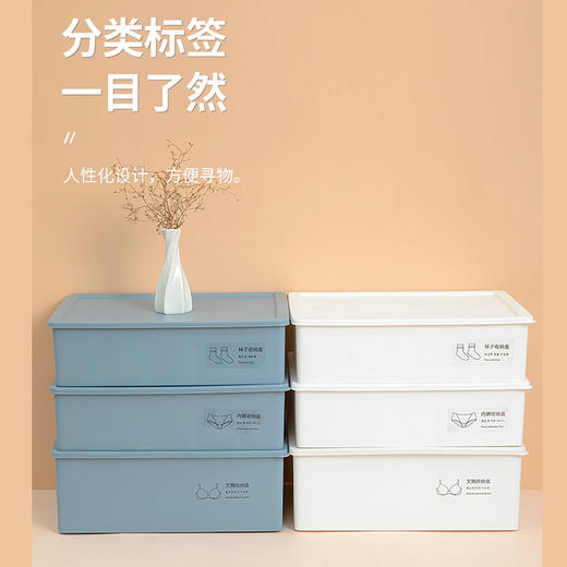 百纳邦首内衣收纳盒3600 商品图5