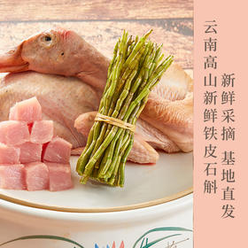 云南高山新鲜铁皮石斛500g礼盒装 生态种植 胶质丰富