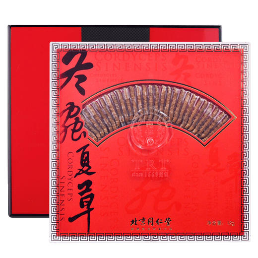 同仁堂冬虫夏草-24/12克 商品图0