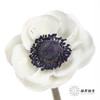 配花 | 银莲黑底白色（白色花瓣容易折痕，不售后，介意慎拍） 商品缩略图0