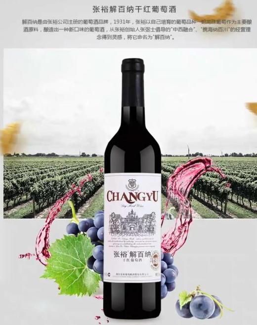 张裕干红葡萄酒 商品图0