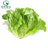 生菜400g/份（仅限江陵自提） 商品缩略图0