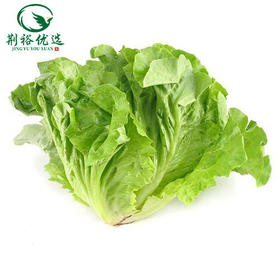 生菜400g/份（仅限江陵自提）