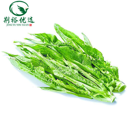 油麦菜500g±50g（仅限江陵自提） 商品图0