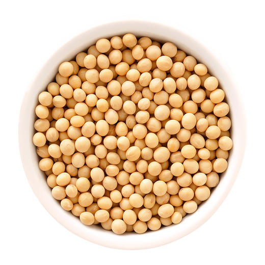 黄豆500g色泽黄润圆润饱满豆香浓郁每一粒都不简单做成豆浆满足每天