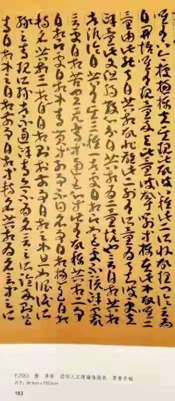 《法藏敦煌文献精选》全5册 大8开 绒布面精装+函套 杨东胜主编 敦煌文艺2020年版 商品图6