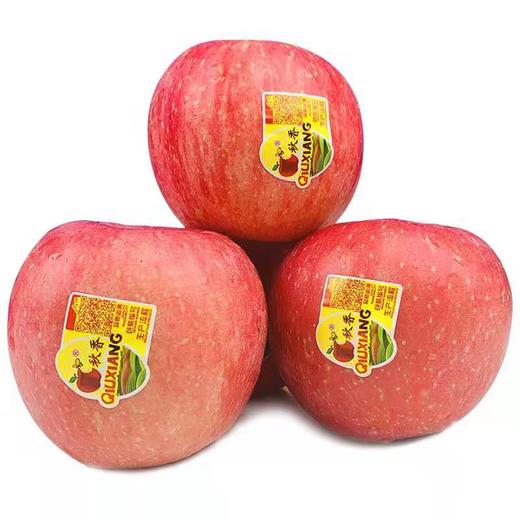 秋香 苹果5-6个/约1500g 商品图0