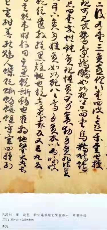 《法藏敦煌文献精选》全5册 大8开 绒布面精装+函套 杨东胜主编 敦煌文艺2020年版 商品图11