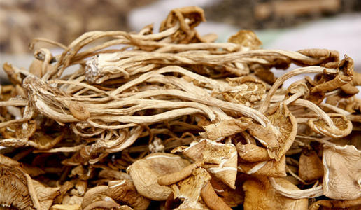 【BSS】茶树菇 约250克 商品图0