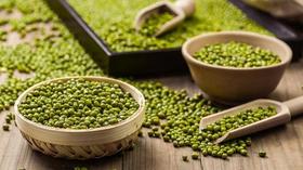 【BSS】绿豆 约500克