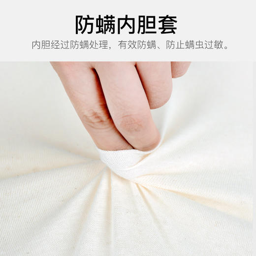 zolitt塔拉蕾乳胶枕成人记忆枕护颈椎枕头透气橡胶枕保健枕 商品图4