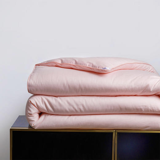 利路米舒柔亲肤厚薄适中大豆春秋被 商品图3