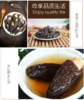 加拿大进口天然健康羊肚菌100克/罐（超值新品）营养丰富人工采摘天然晾干锁住营养香味浓郁 商品缩略图5