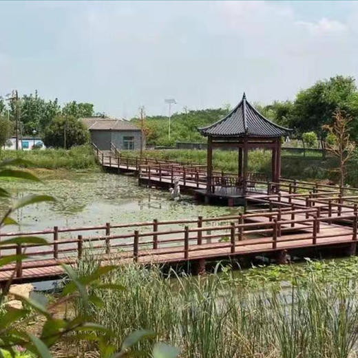 南门农艺园春耕节活动报名（98元兑换园内100元无门槛纸质消费券，全园通用） 商品图4