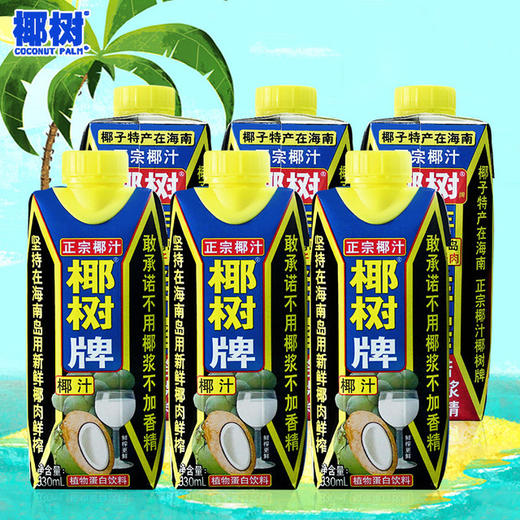 【椰树椰汁】海南特产  椰树牌椰子汁椰奶椰子汁饮料饮品245ml /330ml 亚布力居家饮食营养食品系列 商品图2