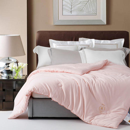 利路米舒柔亲肤厚薄适中大豆春秋被 商品图1