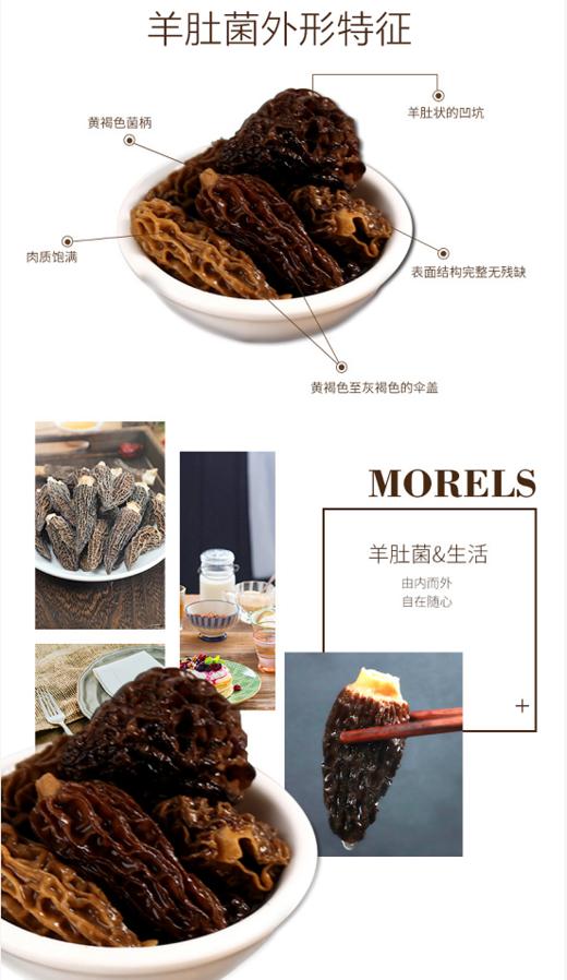 加拿大进口天然健康羊肚菌100克/罐（超值新品）营养丰富人工采摘天然晾干锁住营养香味浓郁 商品图10