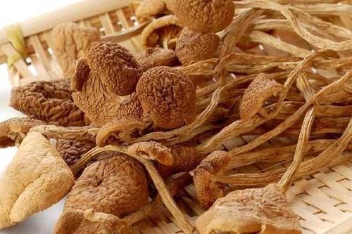 【BSS】茶树菇 约250克 商品图1