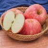 秋香 苹果5-6个/约1500g 商品缩略图9