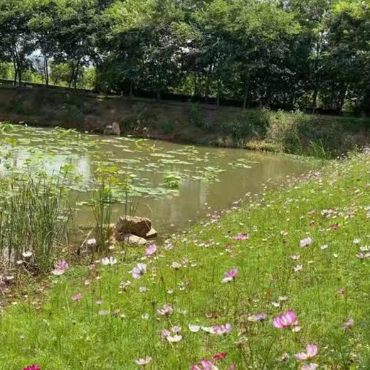 南门农艺园春耕节活动报名（98元兑换园内100元无门槛纸质消费券，全园通用） 商品图1