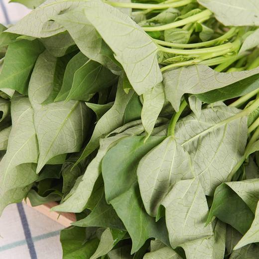 【BSS】红薯尖 约400克 商品图1