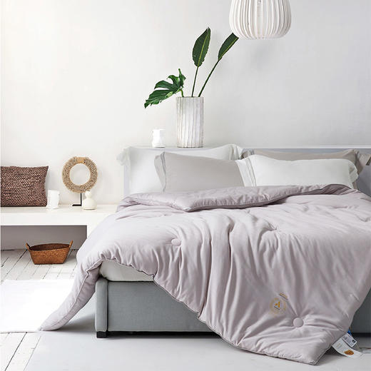 利路米舒柔亲肤厚薄适中大豆春秋被 商品图0