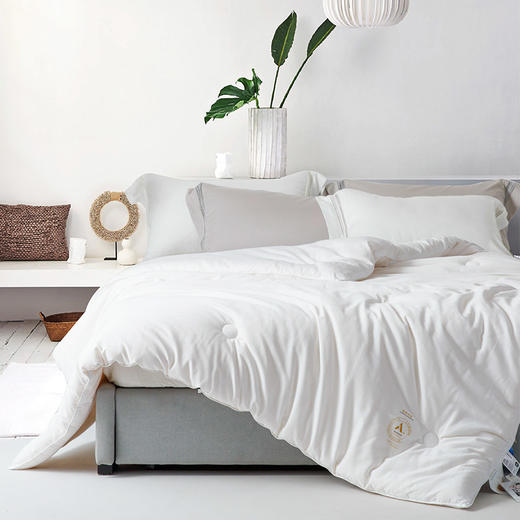 利路米舒柔亲肤厚薄适中大豆春秋被 商品图2