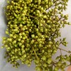 【山货花材】 小米果  若干枝/扎 商品缩略图8