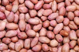 【BSS】花生米 约500克