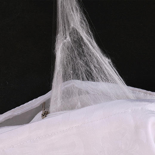 利路米100%桑蚕丝长丝贡被夏凉被春秋被冬被 商品图1