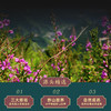 春中宝野山花蜜瓶装280g 商品缩略图2