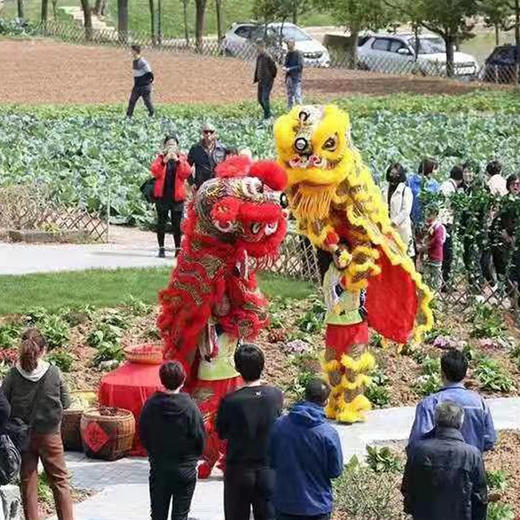 南门农艺园春耕节活动报名（98元兑换园内100元无门槛纸质消费券，全园通用） 商品图5