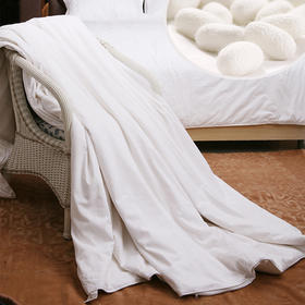 利路米100%桑蚕丝长丝贡被夏凉被春秋被冬被