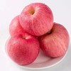 秋香 苹果5-6个/约1500g 商品缩略图8