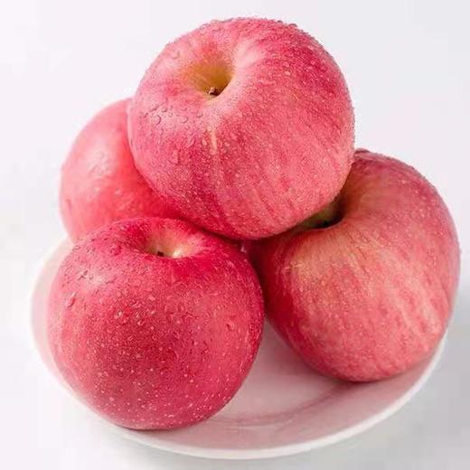 秋香 苹果5-6个/约1500g 商品图8