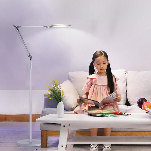 【孩视宝】大面光源双杆高杆落地灯VL701 商品图1