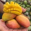海南贵妃芒、肉厚甜蜜爆汁、果肉细腻、香甜多汁、金黄透亮、水份多 商品缩略图1