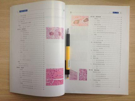 现货【出版社直销】组织学与胚胎学（新世纪全国高等医药院校规划教材）刘黎青 主编 中国中医药出版社 商品图4