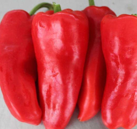 大红椒   约250克 商品图1