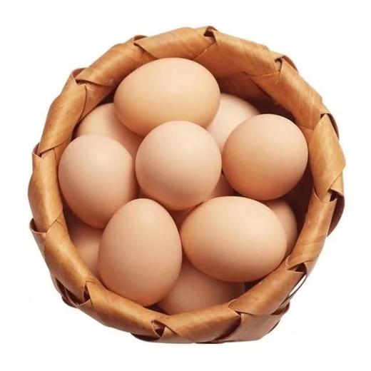【BSS】10枚装土鸡蛋 商品图0