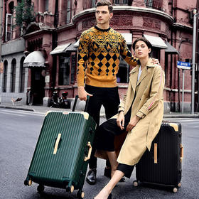 【黛黛安}黛黛安品牌熊猫款铝框拉杆箱20寸PC行李箱24寸旅行箱26寸一件代发