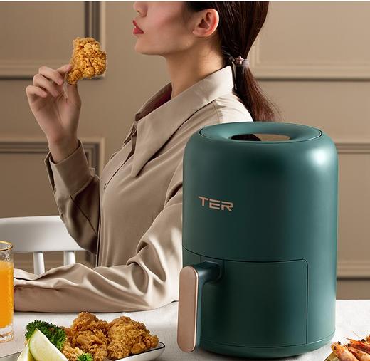 TER空气炸锅 商品图1