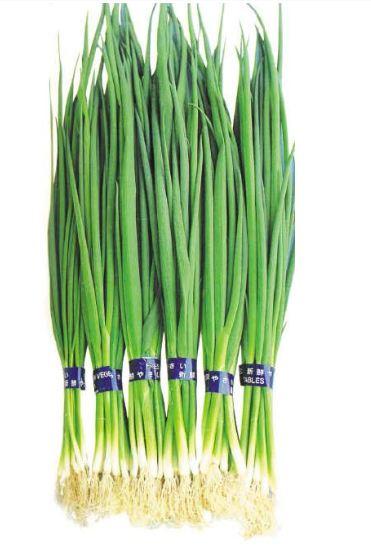 【BSS】香葱 约150克 商品图1