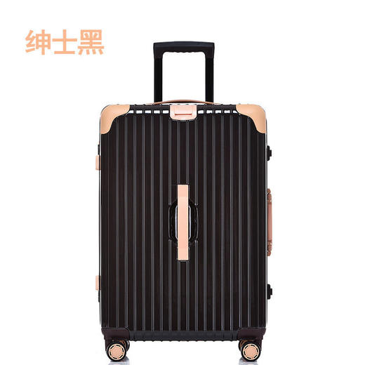 【黛黛安}黛黛安品牌熊猫款铝框拉杆箱20寸PC行李箱24寸旅行箱26寸一件代发 商品图5