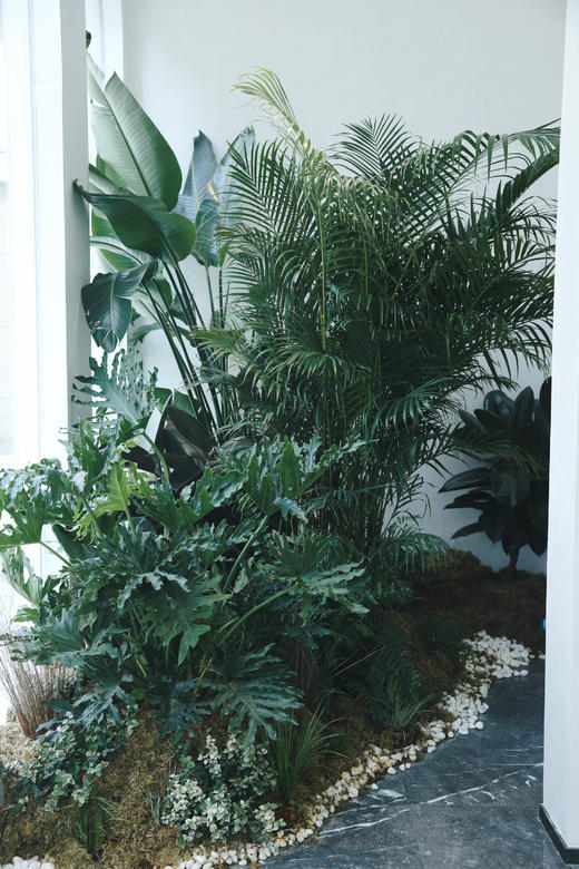 【全屋宅配】鲜花 绿植软装 庭院景观服务“勘察费” 商品图1