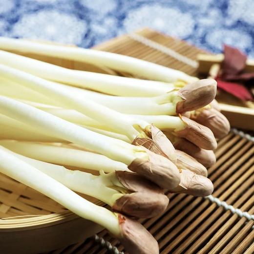 【BSS】花生苗 约250克 商品图1