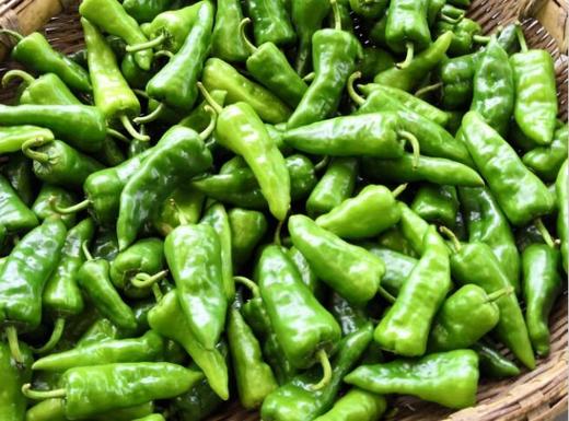 小青椒 约500克 商品图1